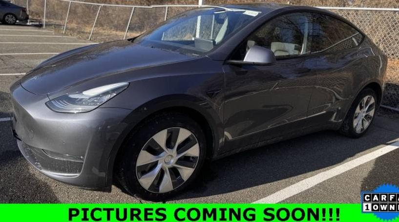 TESLA MODEL Y 2020 5YJYGDEE0LF006770 image